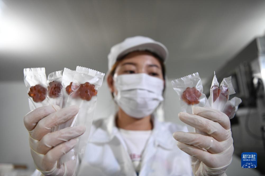 澳门伟德赌博